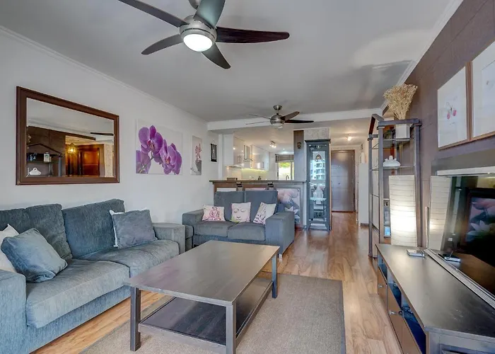 Relax Paraiso Apartment Costa Adeje (Tenerife)